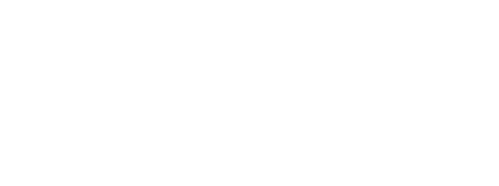 Weingut Türk Logo